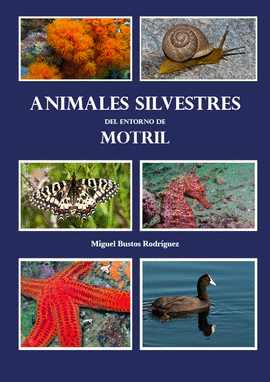 ANIMALES SILVESTRES DEL ENTORNO DE MOTRIL