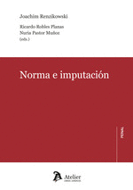 NORMA E IMPUTACION