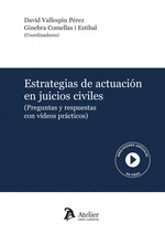 ESTRATEGIAS DE ACTUACION EN JUICIOS CIVILES