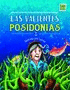 VALIENTES POSIDONIAS LAS