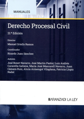 DERECHO PROCESAL CIVIL 2024