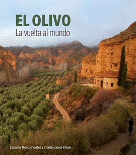 OLIVO EL