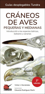 CRANEOS DE AVES PEQUEÑAS Y MEDIANAS