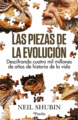 PIEZAS DE LA EVOLUCION LAS