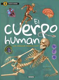 CUERPO HUMANO EL